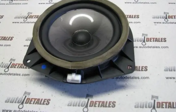 Front door speaker