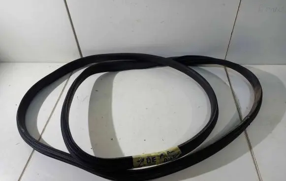 Renault Zoe Rubber seal front door (on door) 