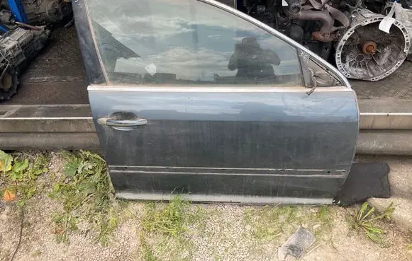 Volkswagen Phaeton Front door