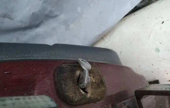 Renault Laguna I Rear door check strap stopper