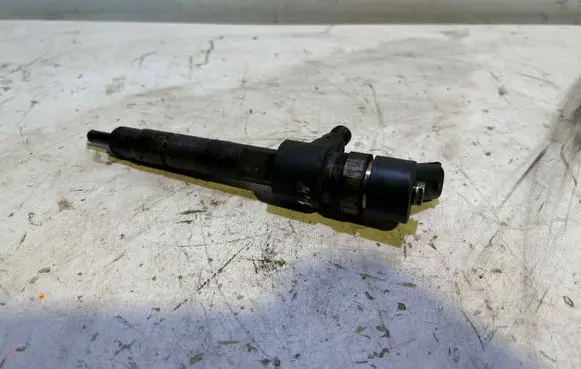 Fiat Multipla Fuel injector 0445110276