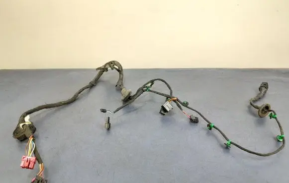 Volkswagen Phaeton Other wiring loom 3D1971121