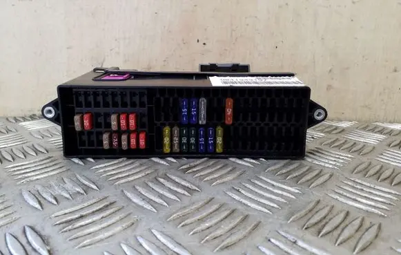 Volkswagen Tiguan Fuse module