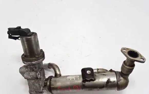 EGR valve
