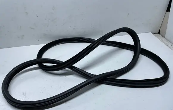 BMW X5 F15 Front door rubber seal 7289608