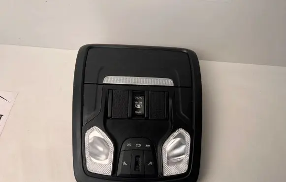 Dodge RAM Headlining lighting console trim P6EJ891X7AF