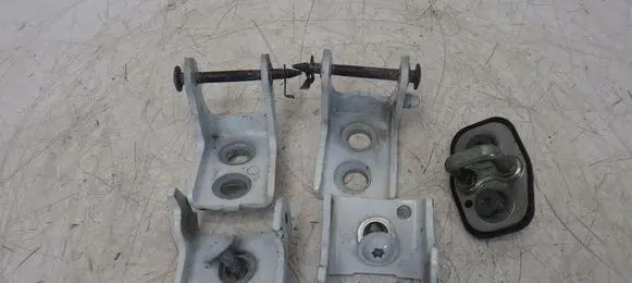 Citroen C3 Rear door hinge set 