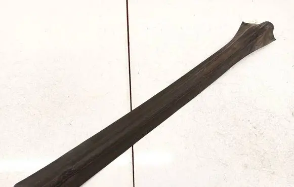 Opel Zafira B Rubber seal front coupe door 13131953