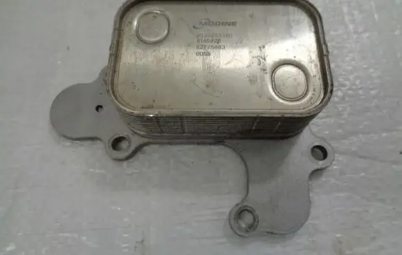 Peugeot 307 Engine oil radiator 9839253380