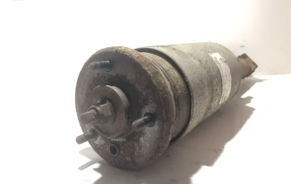 Land Rover Range Rover Sport L320 Air suspension front shock absorber 3498720 RNB501140