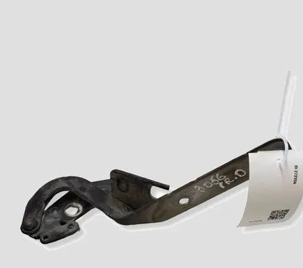 Citroen C4 Grand Picasso Engine bonnet/hood hinges 9652962080