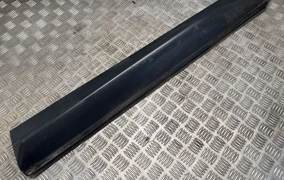 Land Rover Range Rover Sport L320 Front door trim (molding) DGP000201