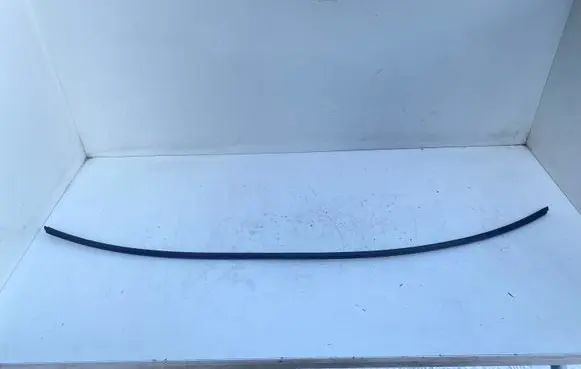 Volvo S80 Roof trim bar molding cover 