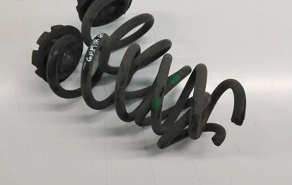 Renault Captur Rear coil spring 550208515R