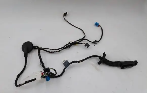 Rear door wiring loom