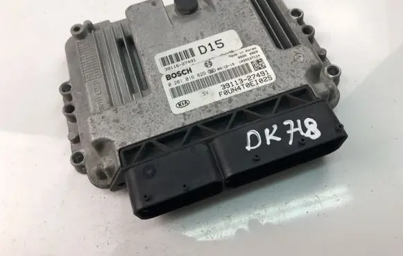 KIA Carens II Engine control unit/module 3911327491