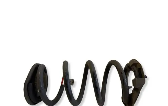 Tesla Model 3 Rear coil spring 104447201E