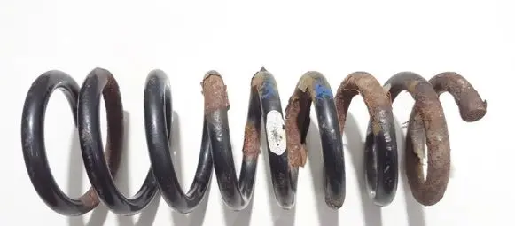 Rear coil spring