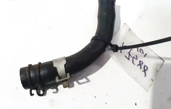 Nissan Almera Tino Engine coolant pipe/hose