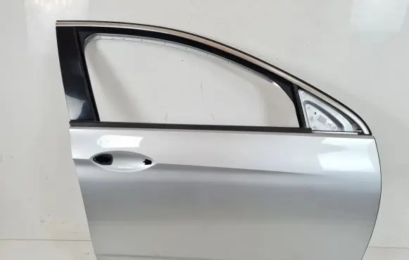 Opel Insignia B Front door