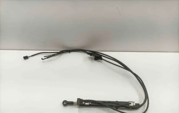 Tailgate/trunk strut/damper
