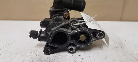 Thermostat/thermostat housing