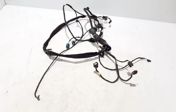 Other wiring loom