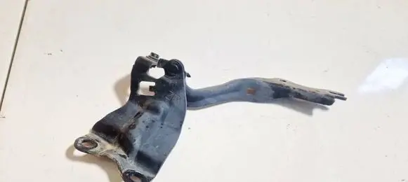 Engine bonnet/hood hinges