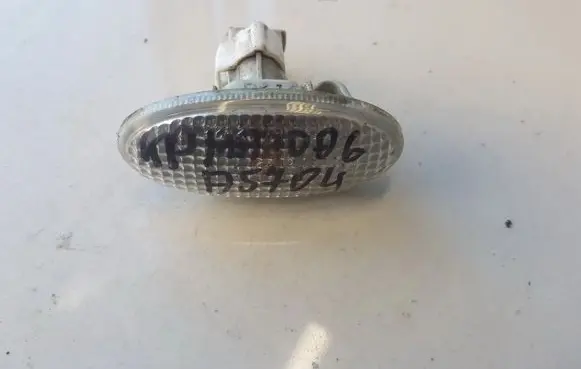 Front fender indicator light