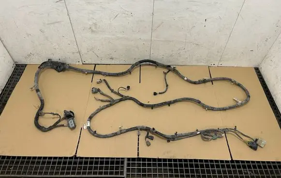 Other wiring loom