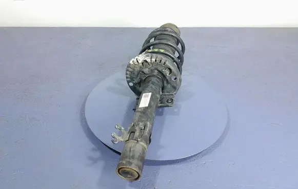 Skoda Rapid (NH) Front shock absorber/damper 6R0413031BF