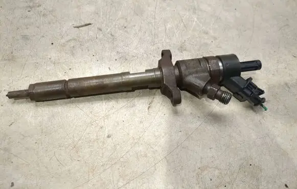 Citroen C4 I Fuel injector 0445110239