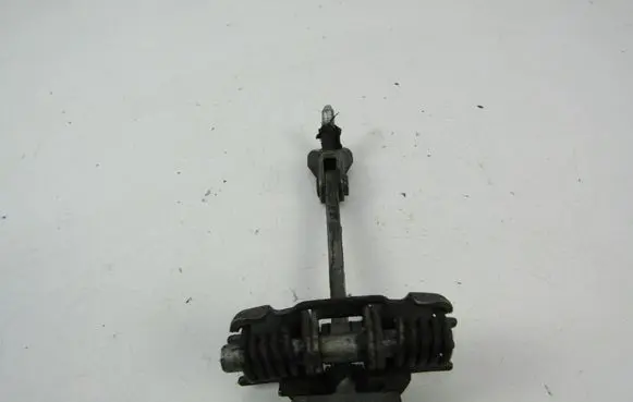 Fiat Scudo Front door check strap stopper 