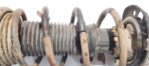 Volkswagen Fox Front coil spring