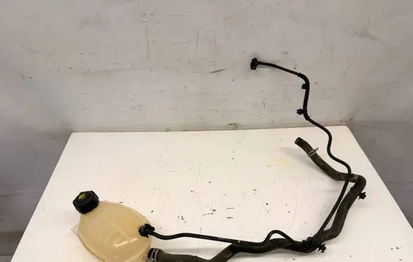 Dacia Sandero III Coolant expansion tank/reservoir SAN3ZBIORWYR1 217102572R