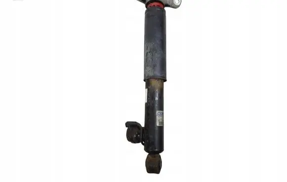 Opel Insignia A Rear shock absorber/damper 13319754