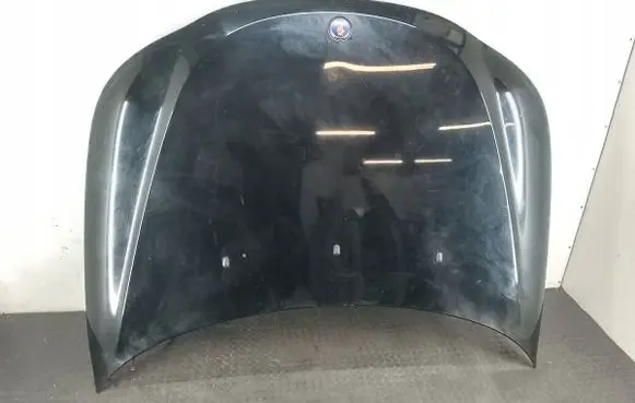 Engine bonnet/hood