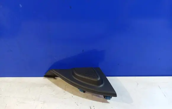 Panel speaker