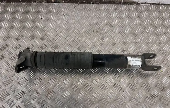 Dodge Durango III Rear shock absorber/damper 894104000849