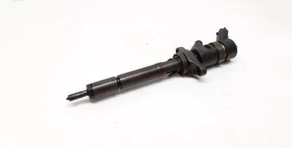 Citroen C5 Fuel injector 0445110259