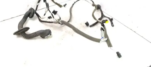 Renault Laguna III Front door wiring loom 241250181R