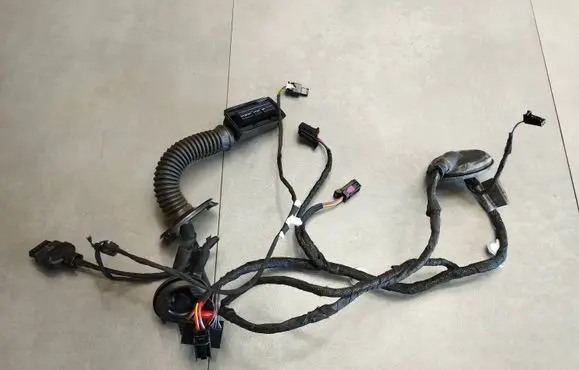 Rear door wiring loom