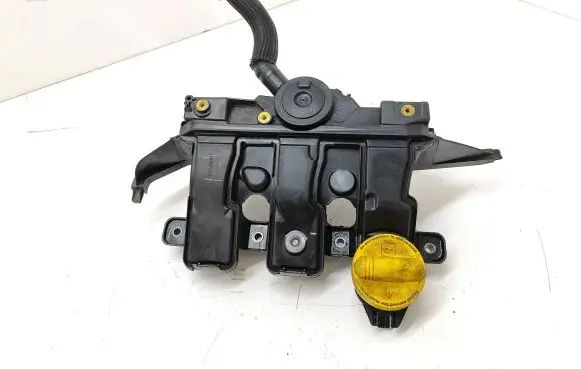 Renault Espace V (RFC) Rocker cam cover 118300724R