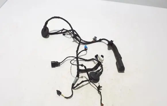 Audi A4 S4 B9 Other wiring loom 8W0971029BF