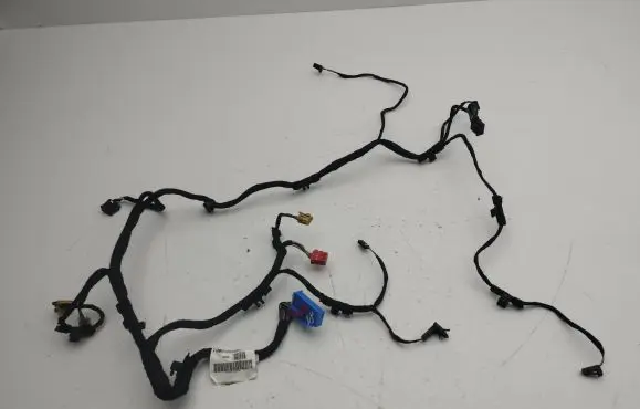Front door wiring loom