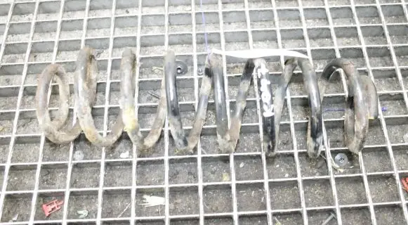 Ford Ecosport Rear coil spring