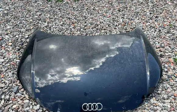 Audi TT TTS RS Mk3 8S Engine bonnet/hood 8S0823029