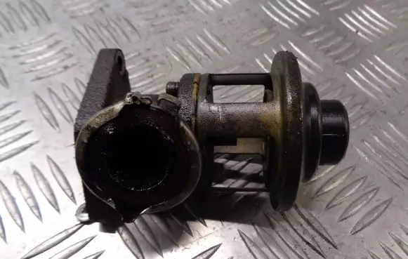 Citroen Berlingo EGR valve