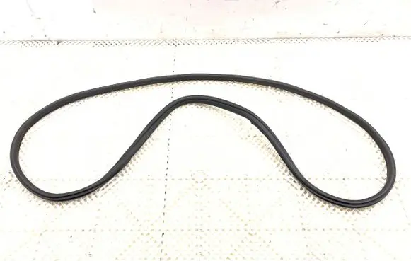 BMW X4 G02 Rubber seal front door (on door) 7416498