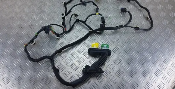 Peugeot 208 Front door wiring loom 9834113780